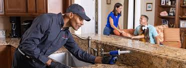 Professional Pest control in Daingerfield, TX